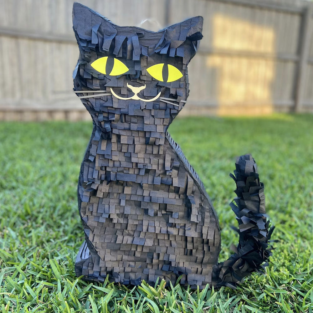 Black Cat Pinata