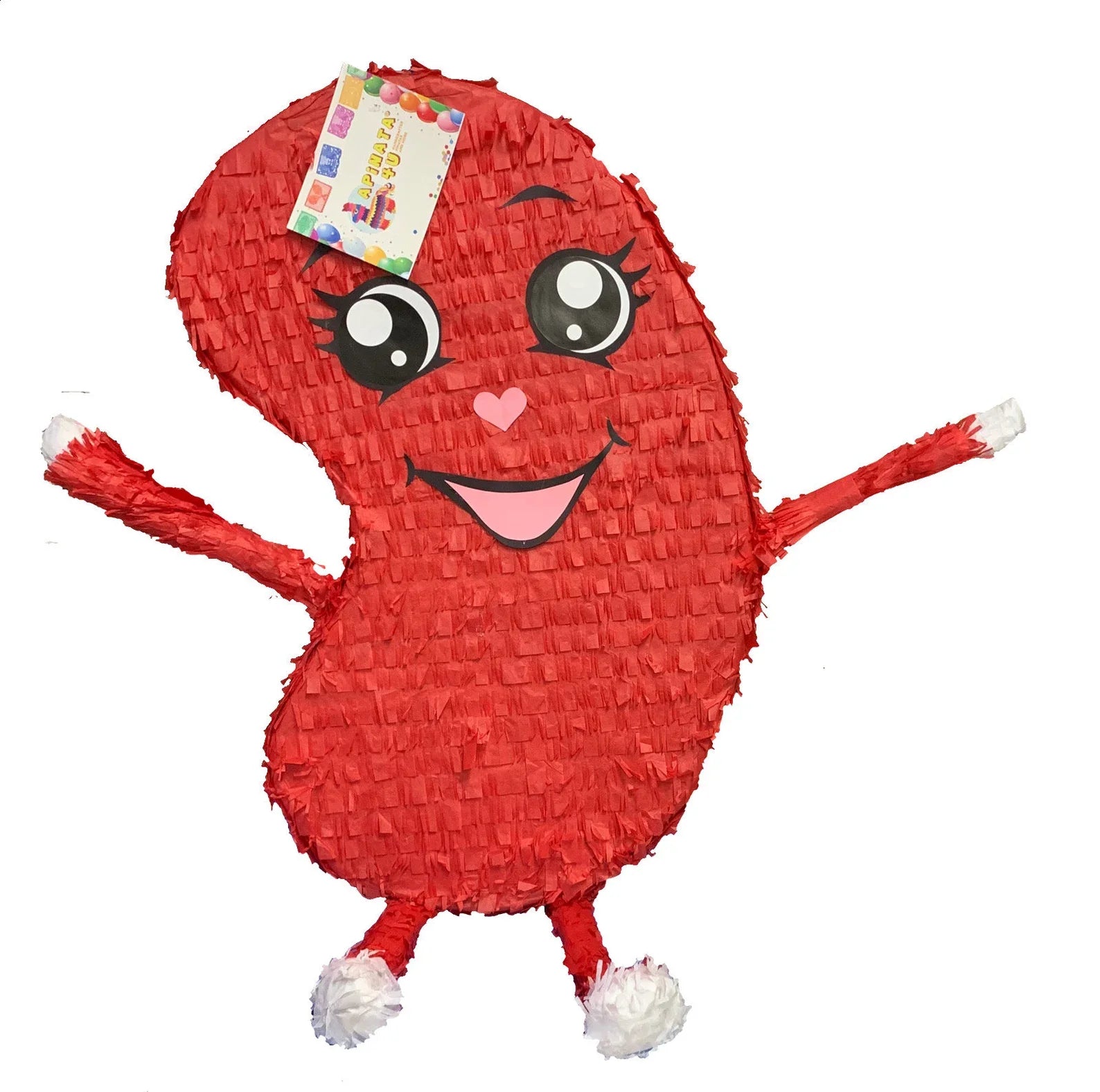 Kidney Pinata