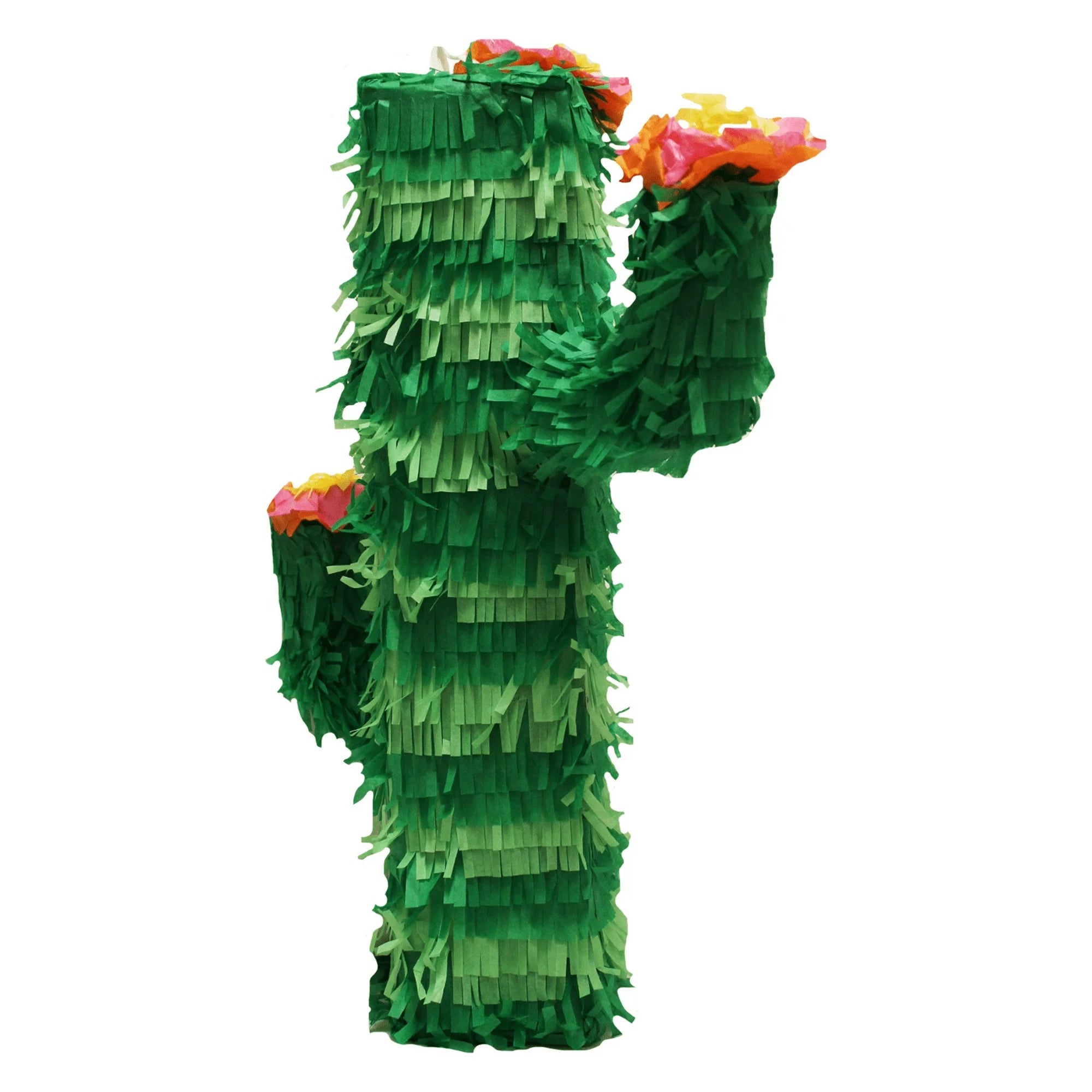 3D CACTUS PINATA