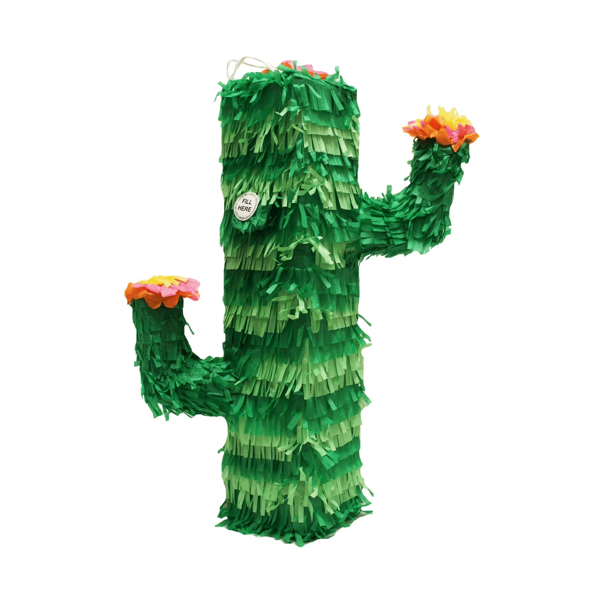 3D CACTUS PINATA